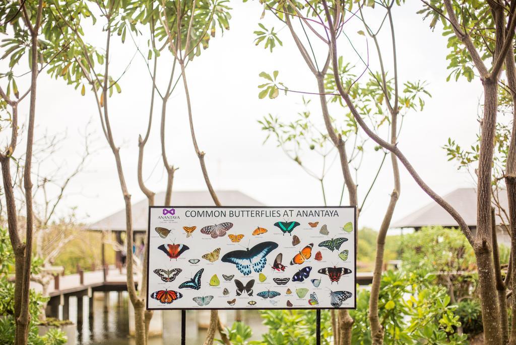 Anantaya Resort & Spa Chilaw Esterno foto